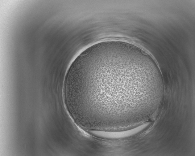 X0000058121533200510071926