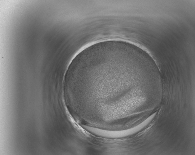 X0000058121534200510071926