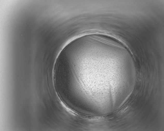 X0000058121535200510071926