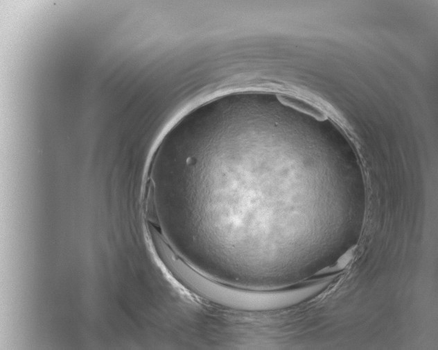 X0000058121536200510071926