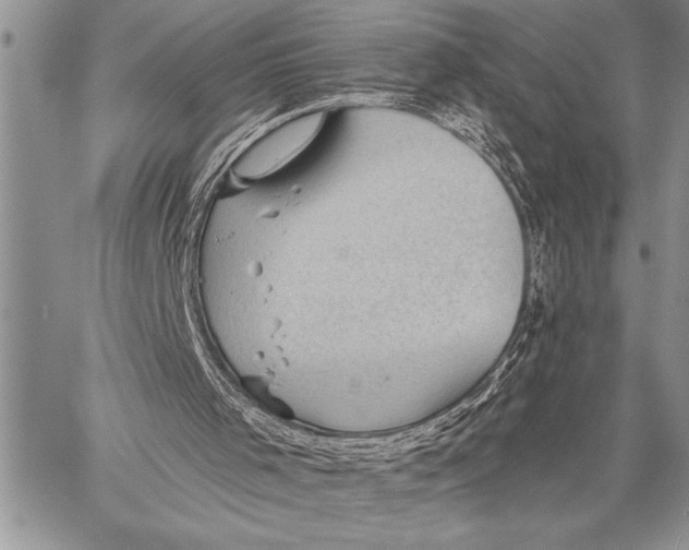 X0000058120001200510171322