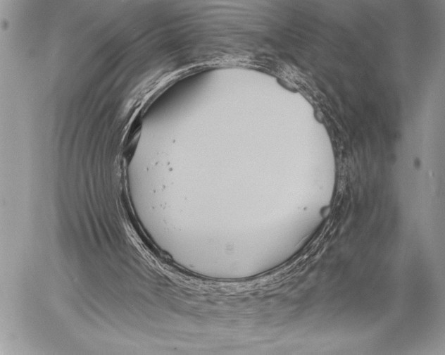 X0000058120002200510171322