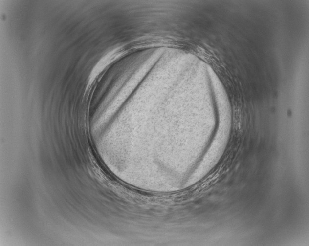 X0000058120004200510171322