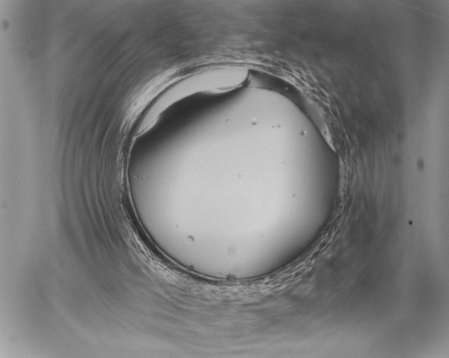 X0000058120005200510171322