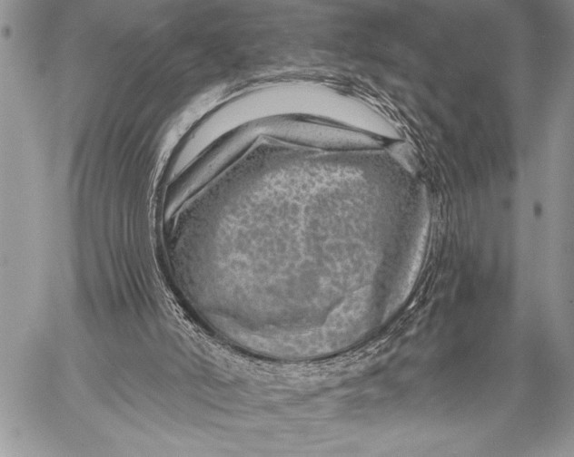 X0000058120006200510171322