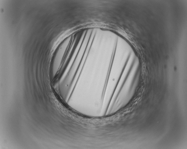 X0000058120007200510171322