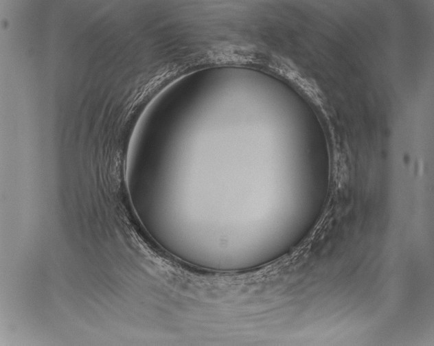 X0000058120009200510171322