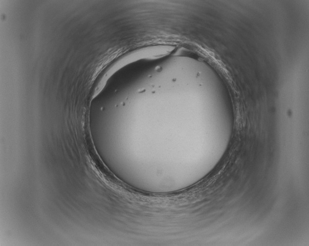 X0000058120010200510171322