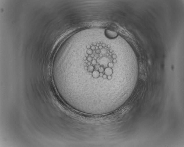 X0000058120012200510171322