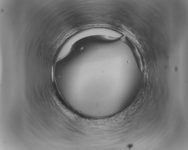 X0000058120013200510171322