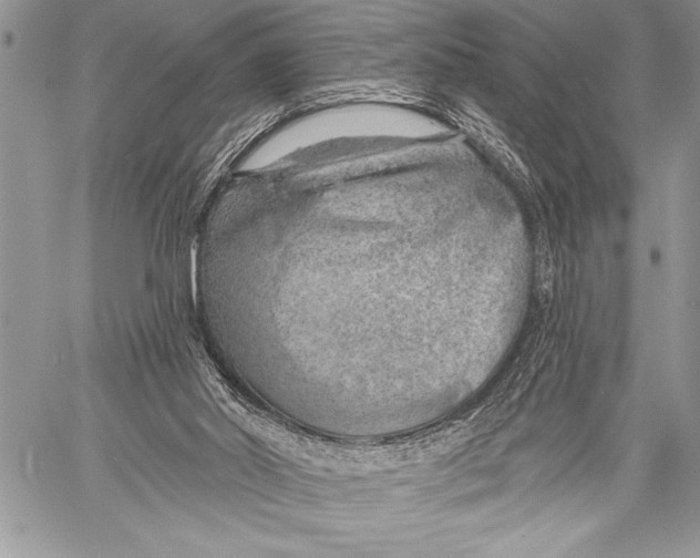 X0000058120014200510171322