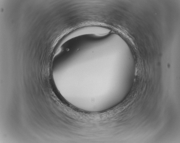 X0000058120015200510171322