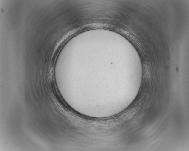 X0000058120016200510171322