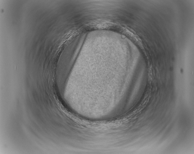 X0000058120018200510171322