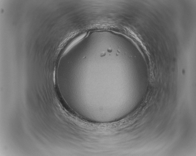 X0000058120019200510171322