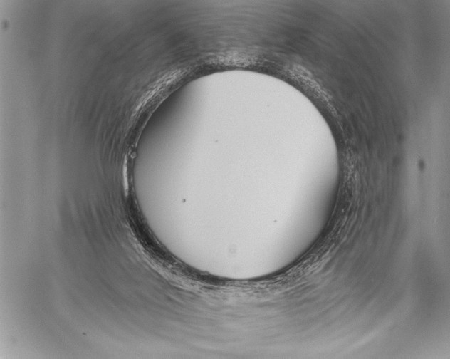 X0000058120020200510171322