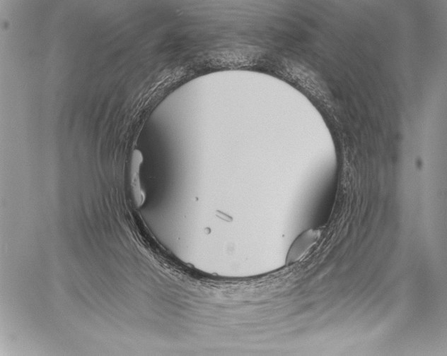 X0000058120021200510171322