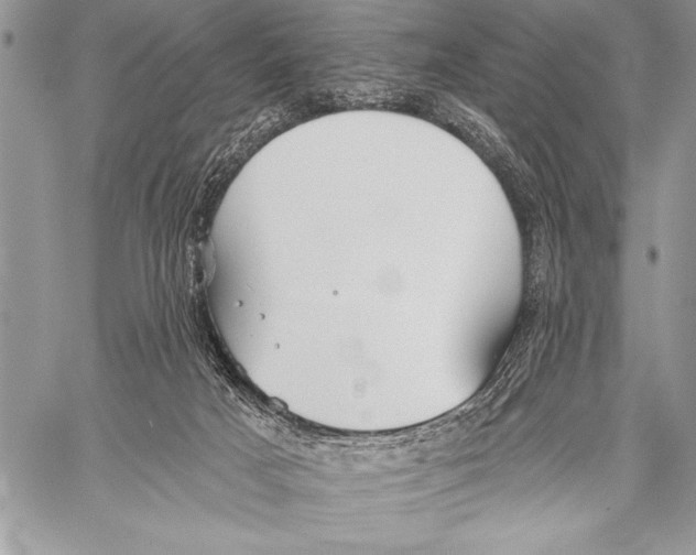 X0000058120025200510171322