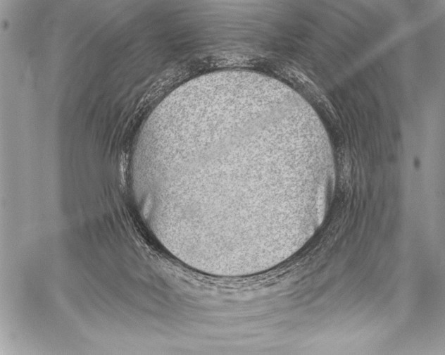 X0000058120026200510171322