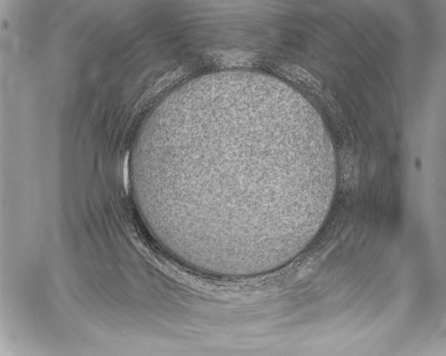 X0000058120028200510171322