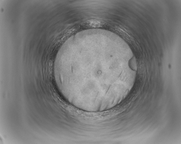 X0000058120030200510171322