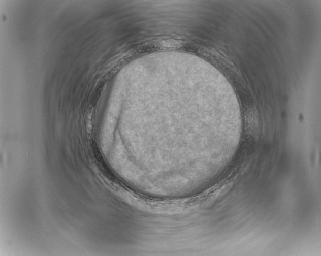 X0000058120032200510171322