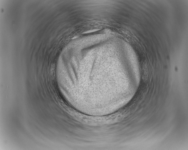 X0000058120034200510171322