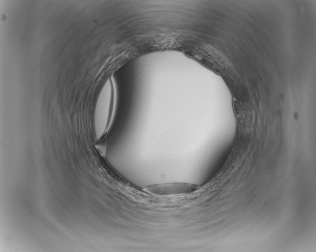 X0000058120035200510171322