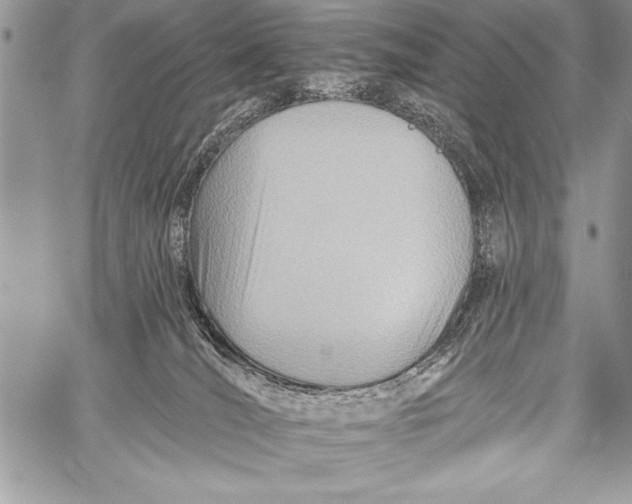 X0000058120036200510171322