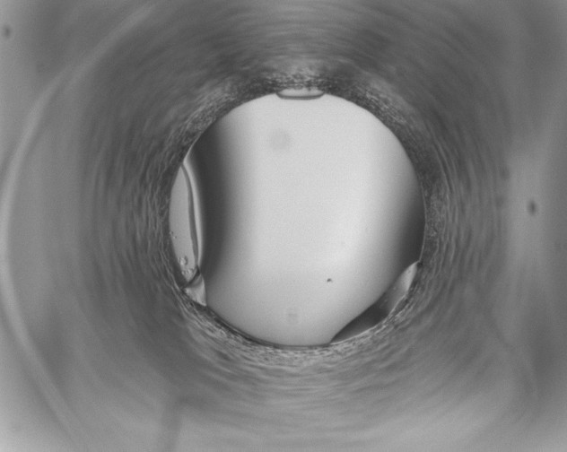 X0000058120037200510171322