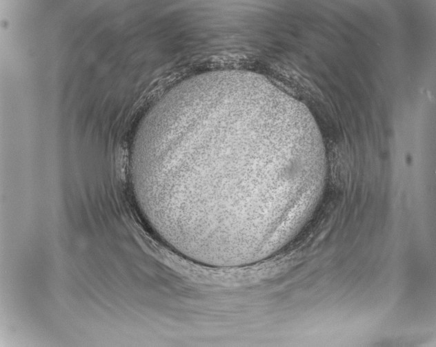 X0000058120038200510171322