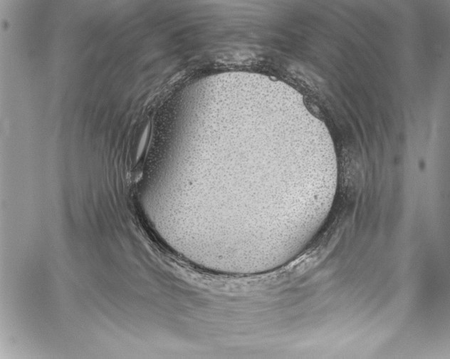 X0000058120040200510171322