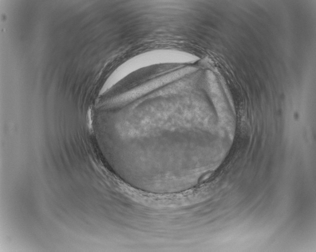 X0000058120042200510171322