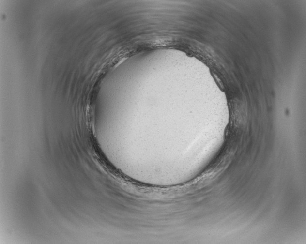 X0000058120044200510171322