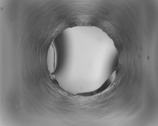 X0000058120045200510171321