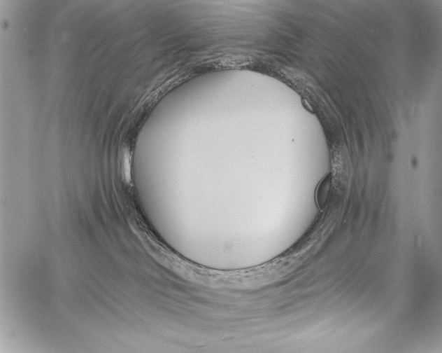 X0000058120046200510171321