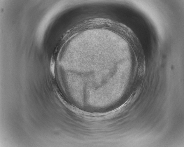 X0000058120047200510171321