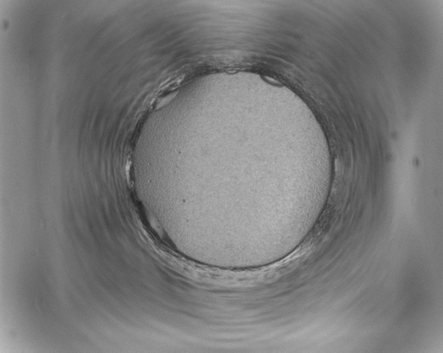 X0000058120048200510171321