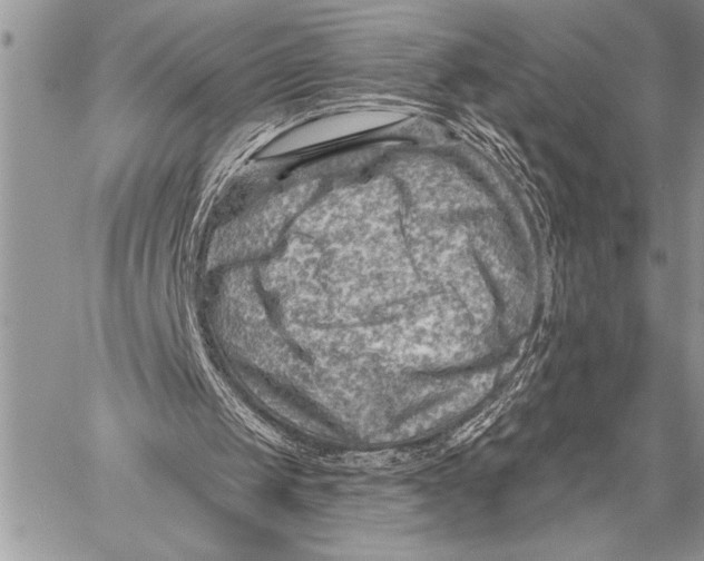 X0000058120049200510171321