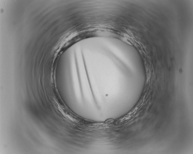 X0000058120050200510171321