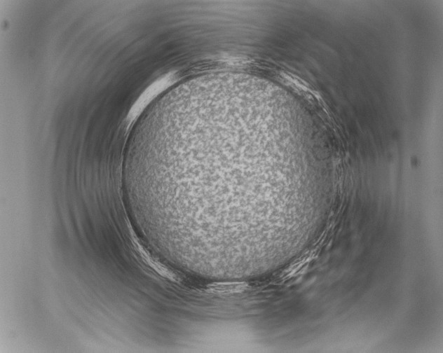 X0000058120051200510171321