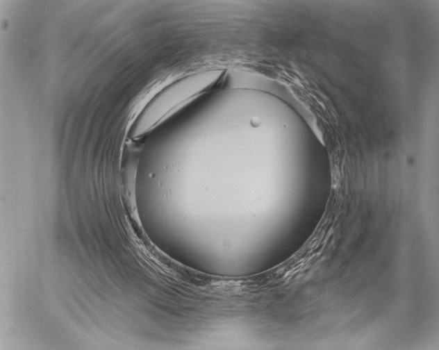 X0000058120052200510171321