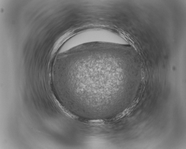 X0000058120053200510171321