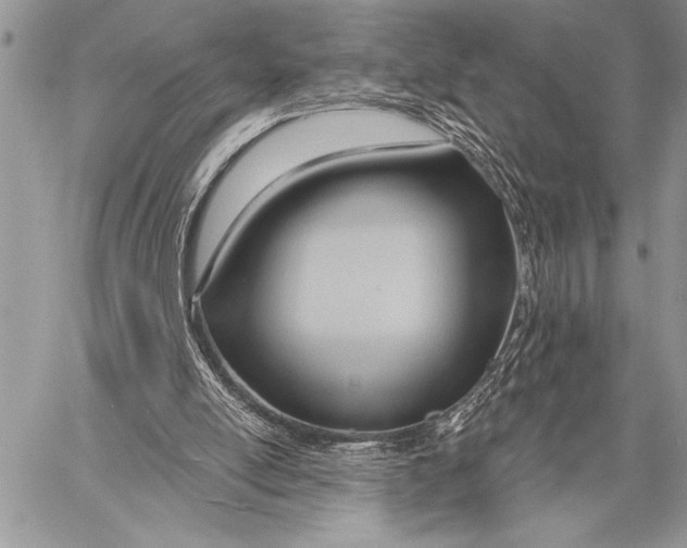 X0000058120054200510171321