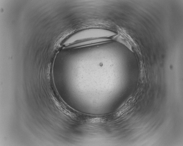 X0000058120058200510171321