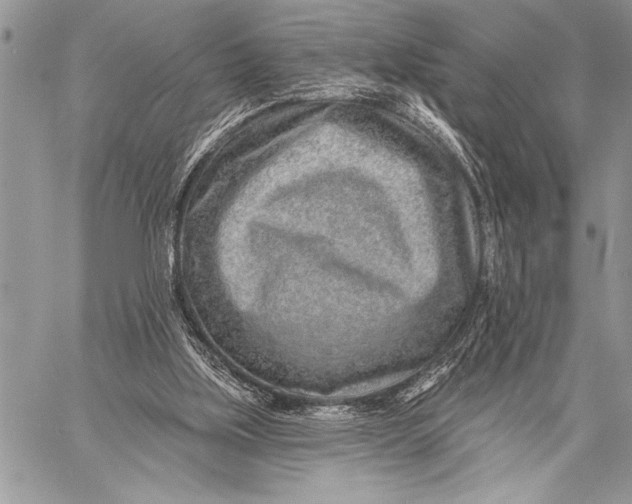 X0000058120059200510171321