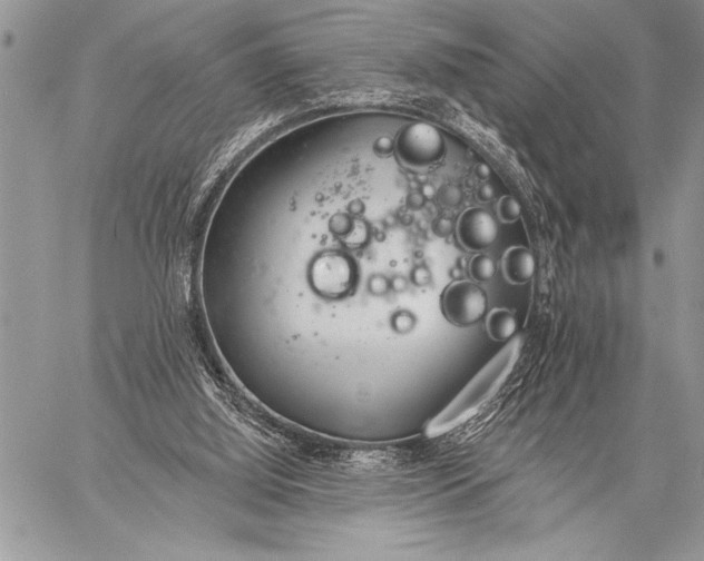 X0000058120060200510171321