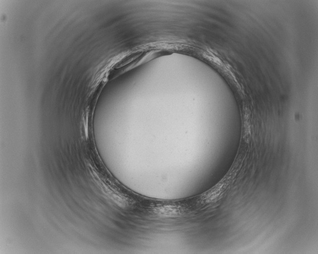 X0000058120062200510171321