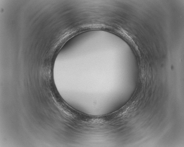 X0000058120063200510171321