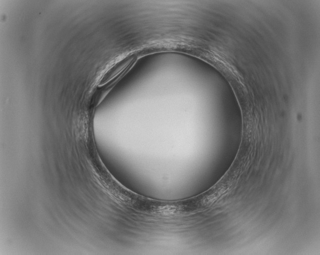 X0000058120064200510171321